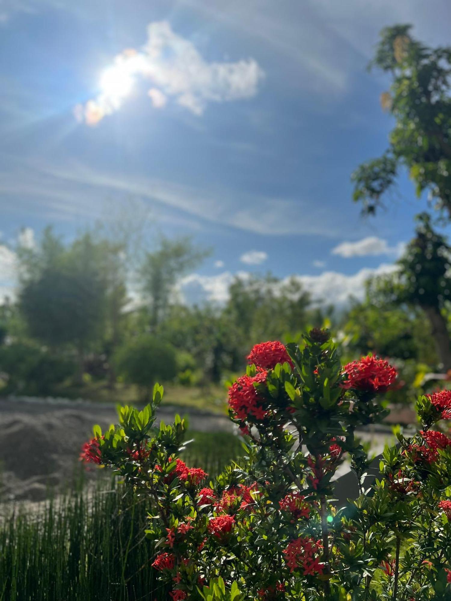 מואלבואל La Plumerias מראה חיצוני תמונה