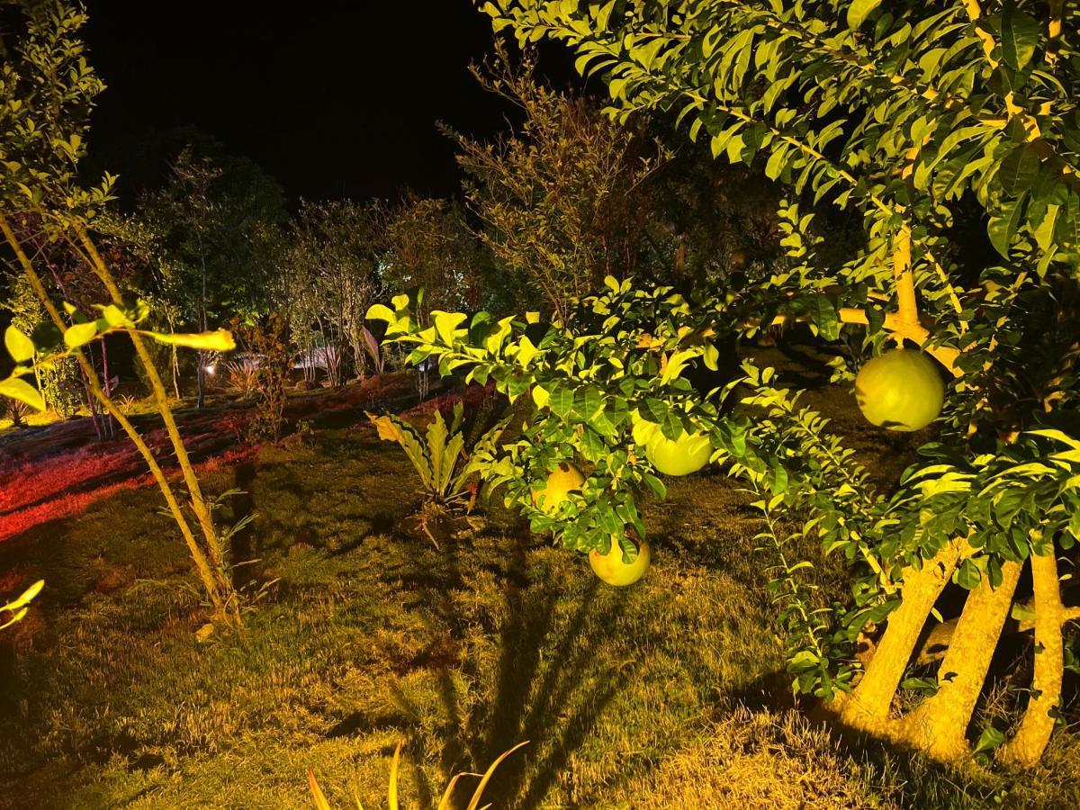 מואלבואל La Plumerias מראה חיצוני תמונה