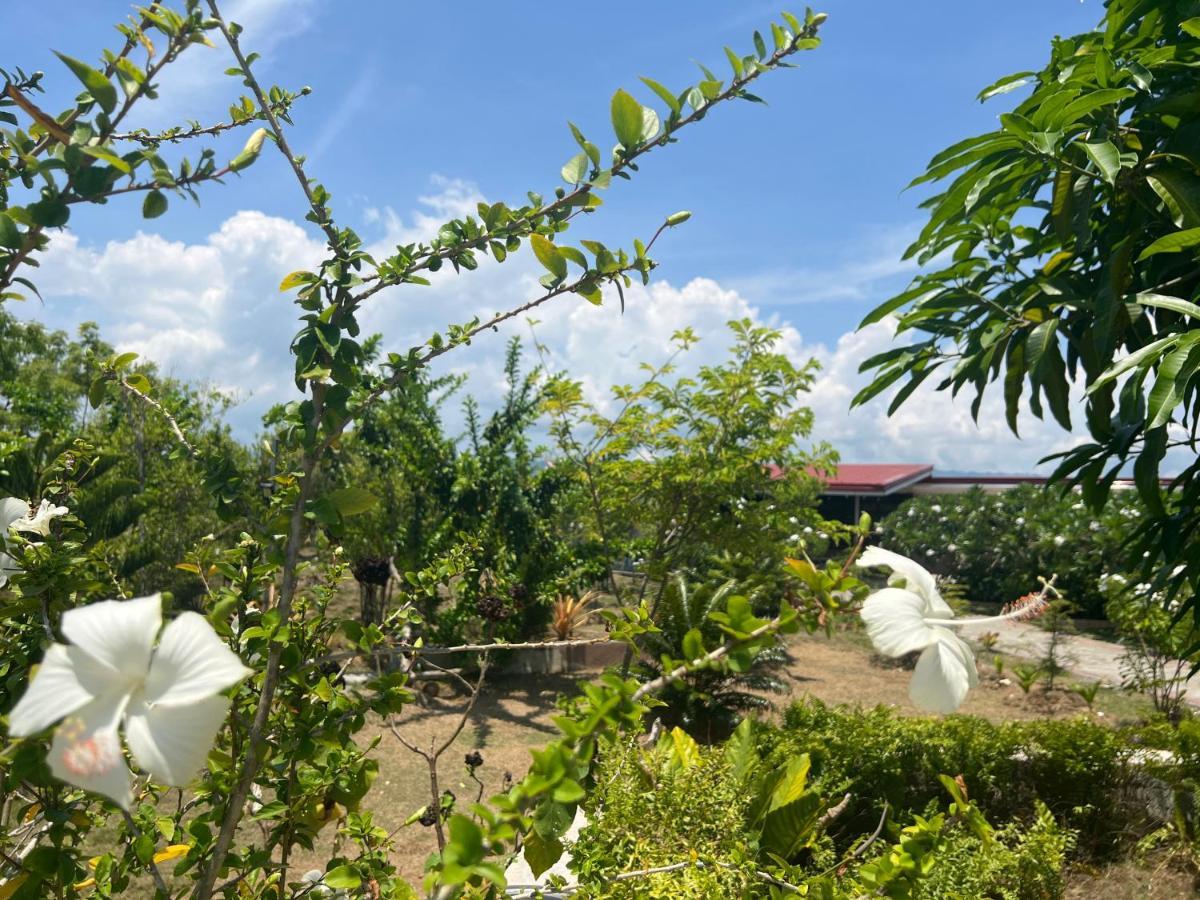 מואלבואל La Plumerias מראה חיצוני תמונה