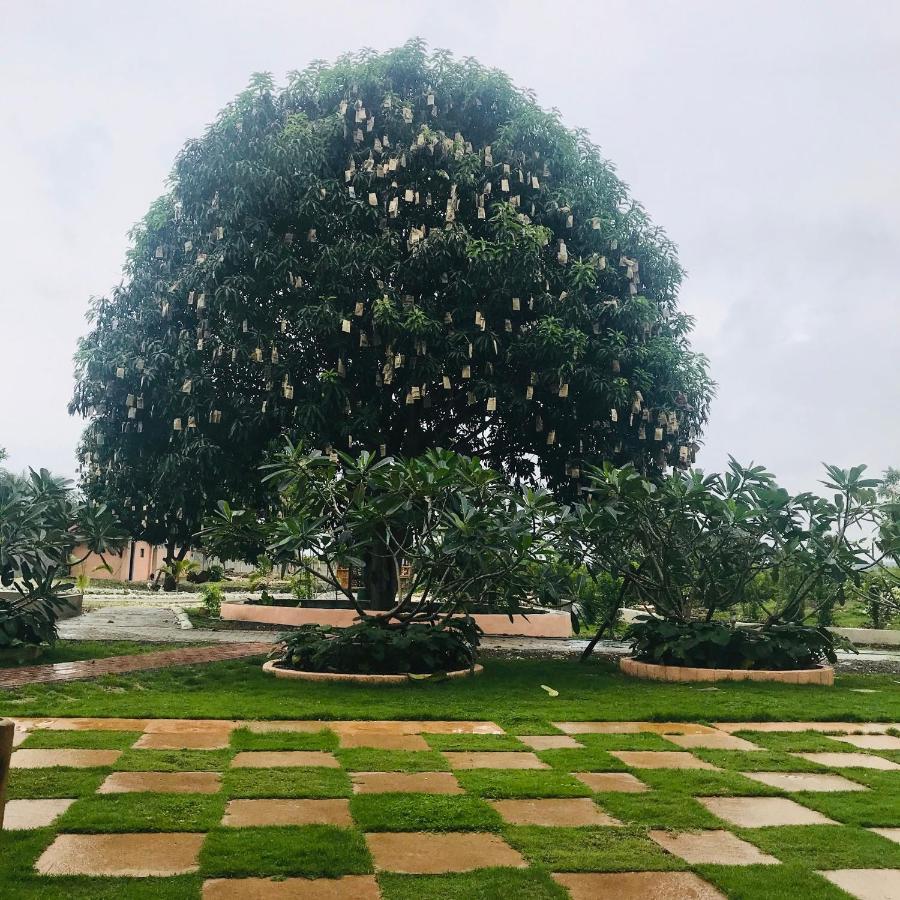 מואלבואל La Plumerias מראה חיצוני תמונה