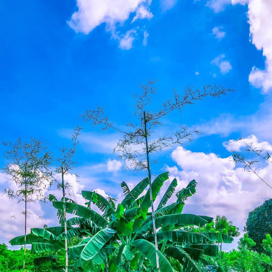מואלבואל La Plumerias מראה חיצוני תמונה